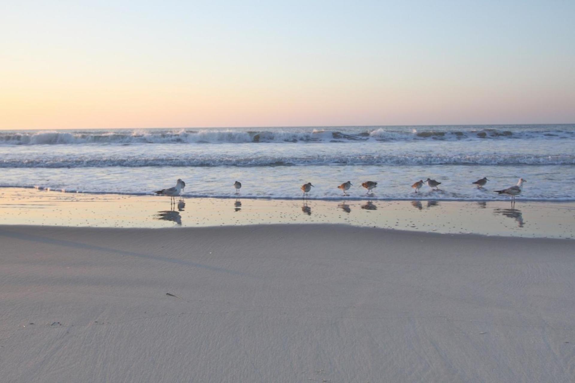 Relax, Renew, Retreat Villa Kiawah Island Dış mekan fotoğraf