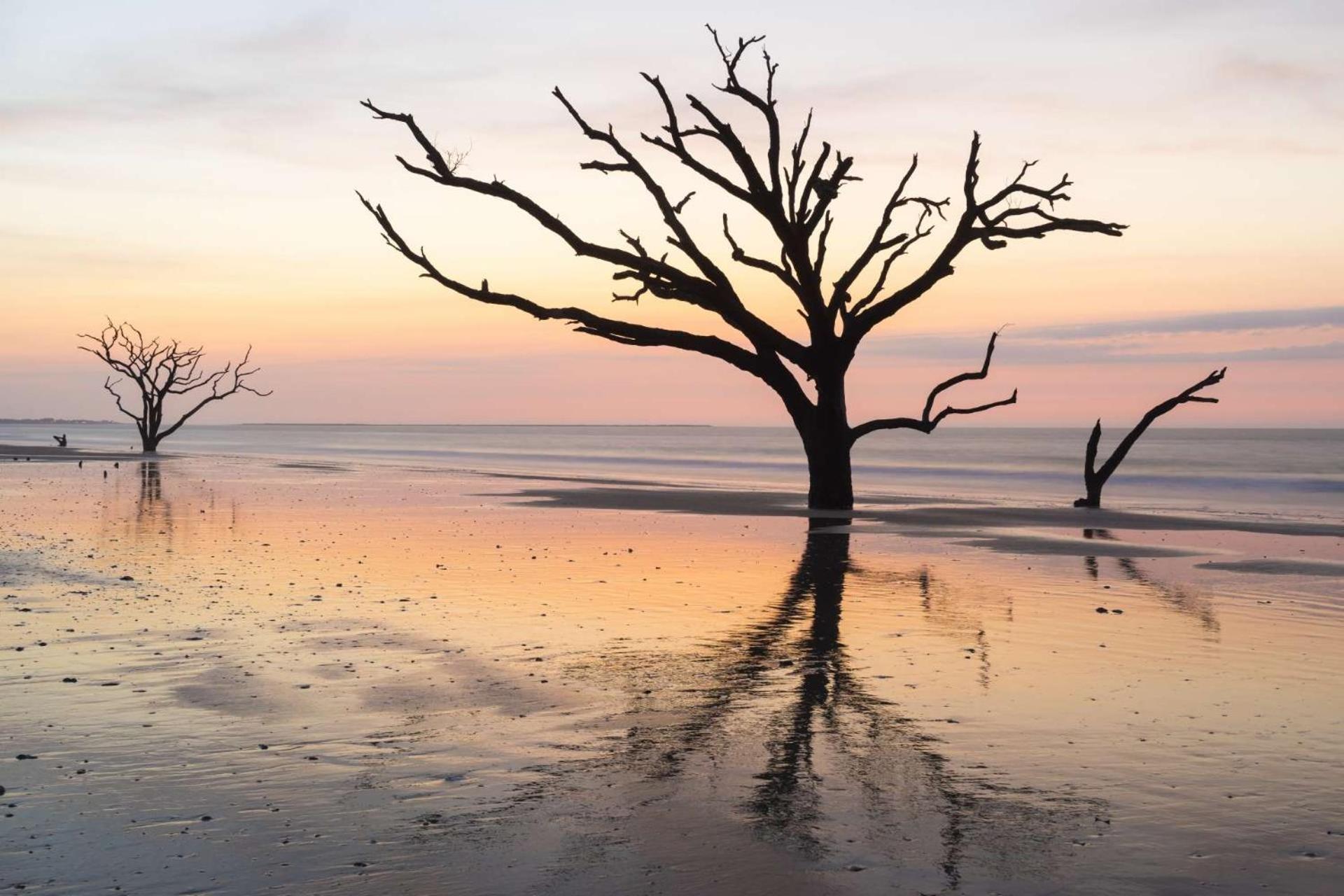 Relax, Renew, Retreat Villa Kiawah Island Dış mekan fotoğraf