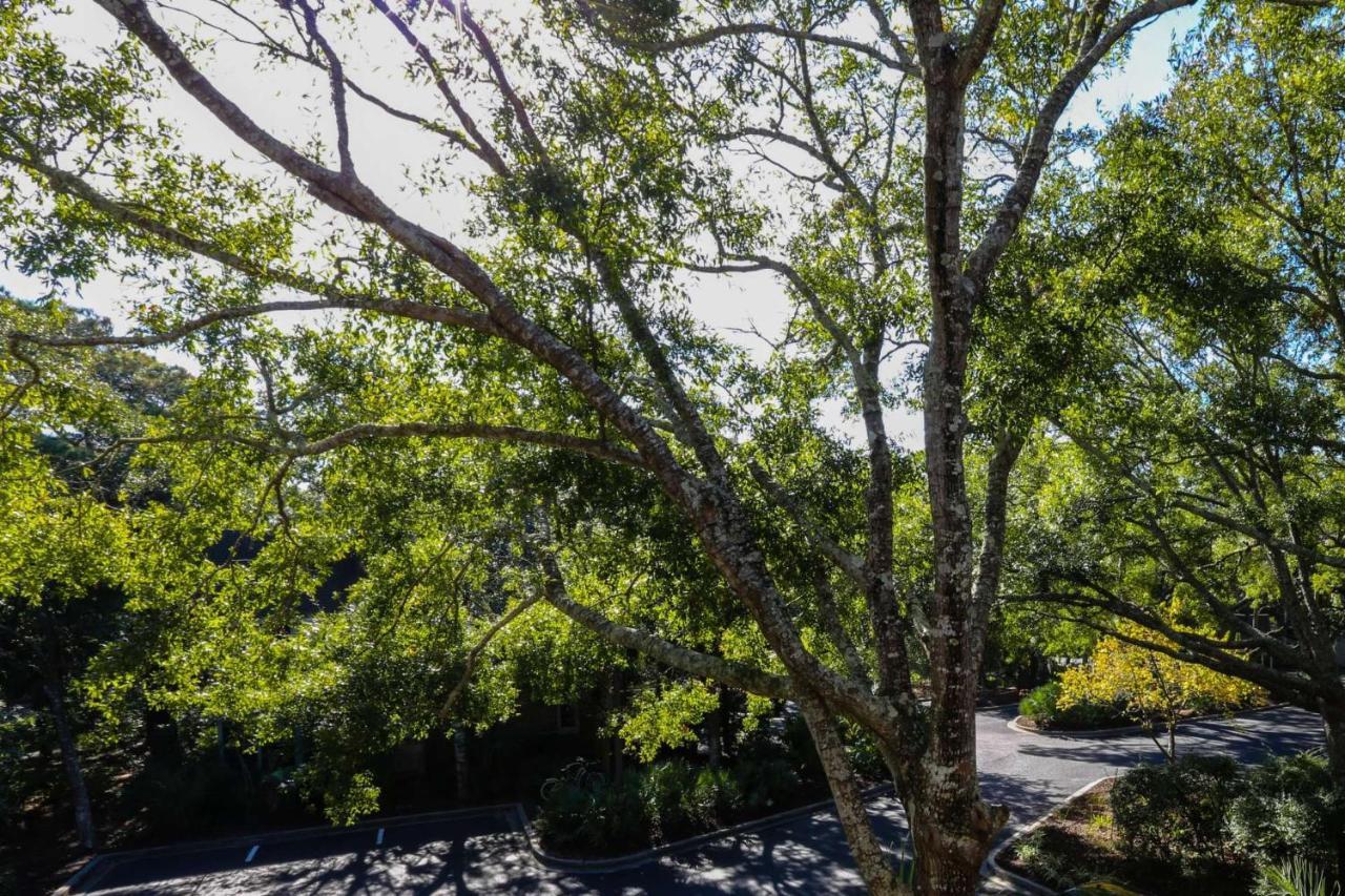 Relax, Renew, Retreat Villa Kiawah Island Dış mekan fotoğraf